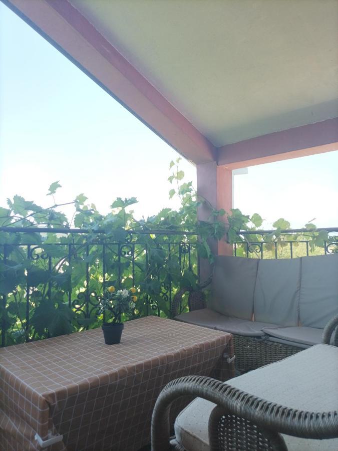 Apartman Balsa Kotor Eksteriør billede
